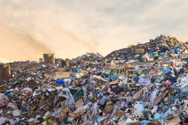 seenons-tech-plaform-sustainable