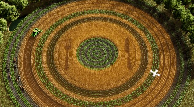 WEBSITE PICS (9) farmer-agriculture-syngenta