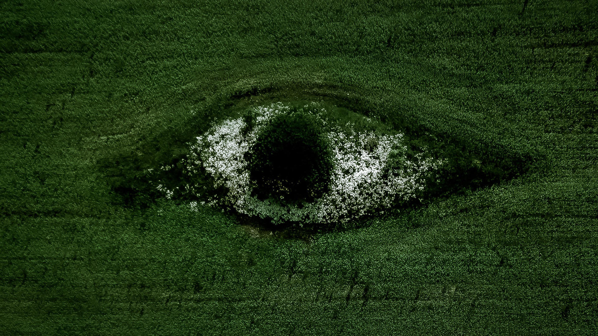 Thumbnail image for RWC that are part of the Davos 2024 campaign with Acumen Media Nature